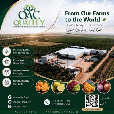 QAC-120X120