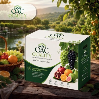 QAC-BOX